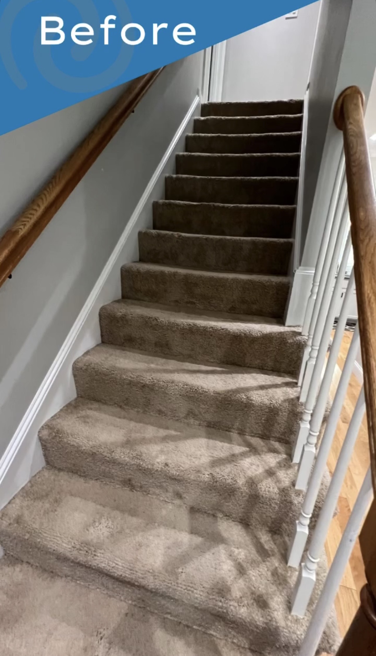Carpet before cleaning