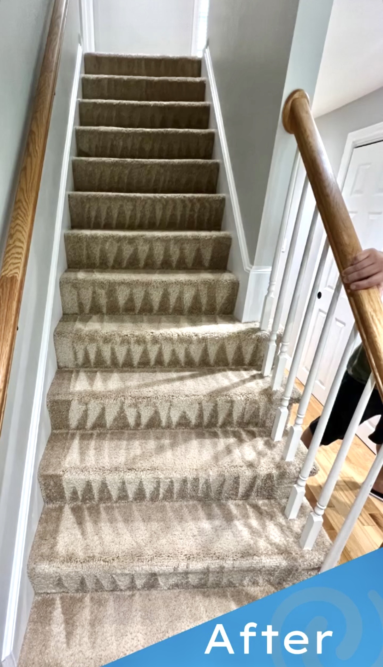 Carpet after cleaning