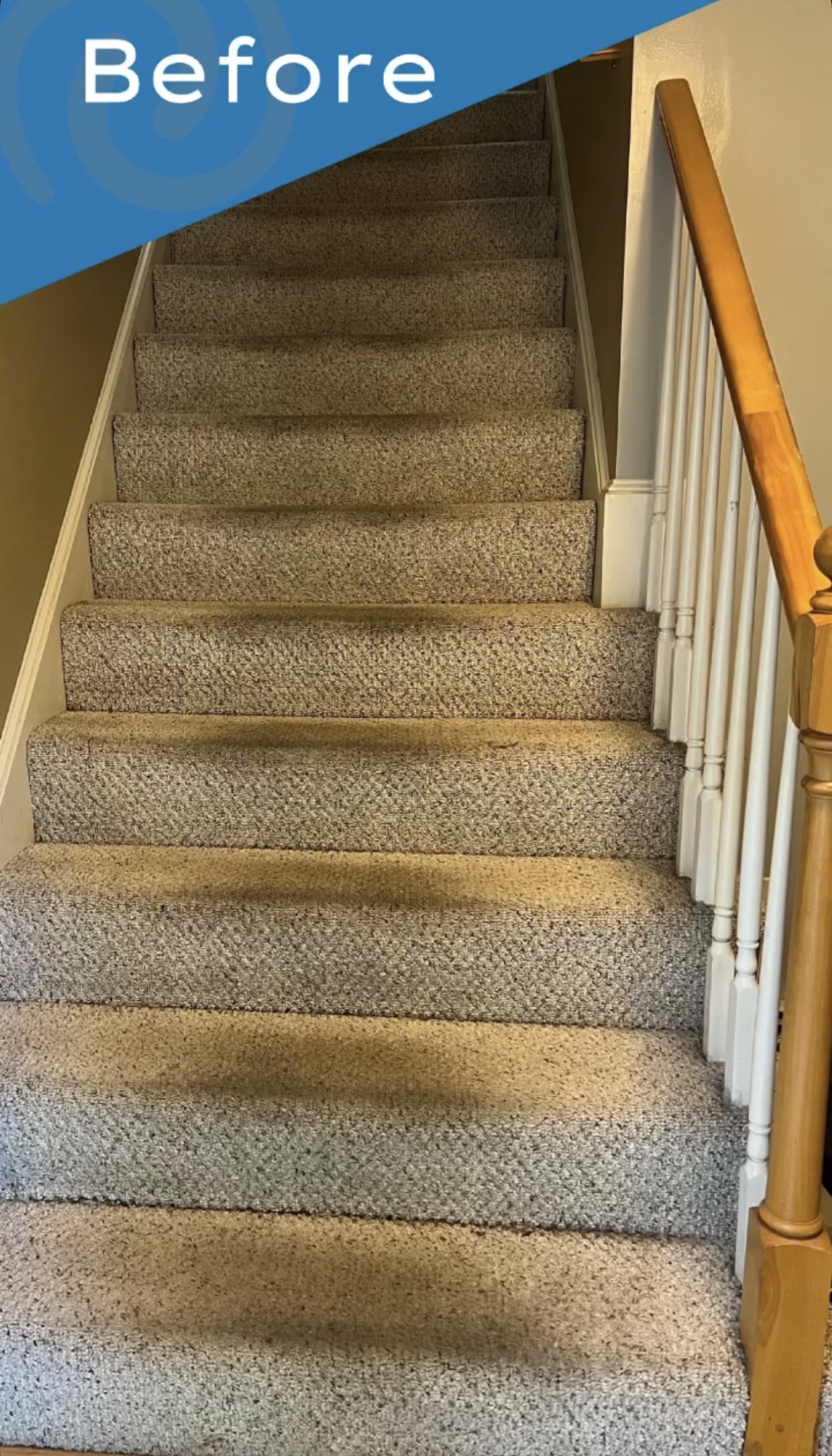 Before Carpet Cleaning