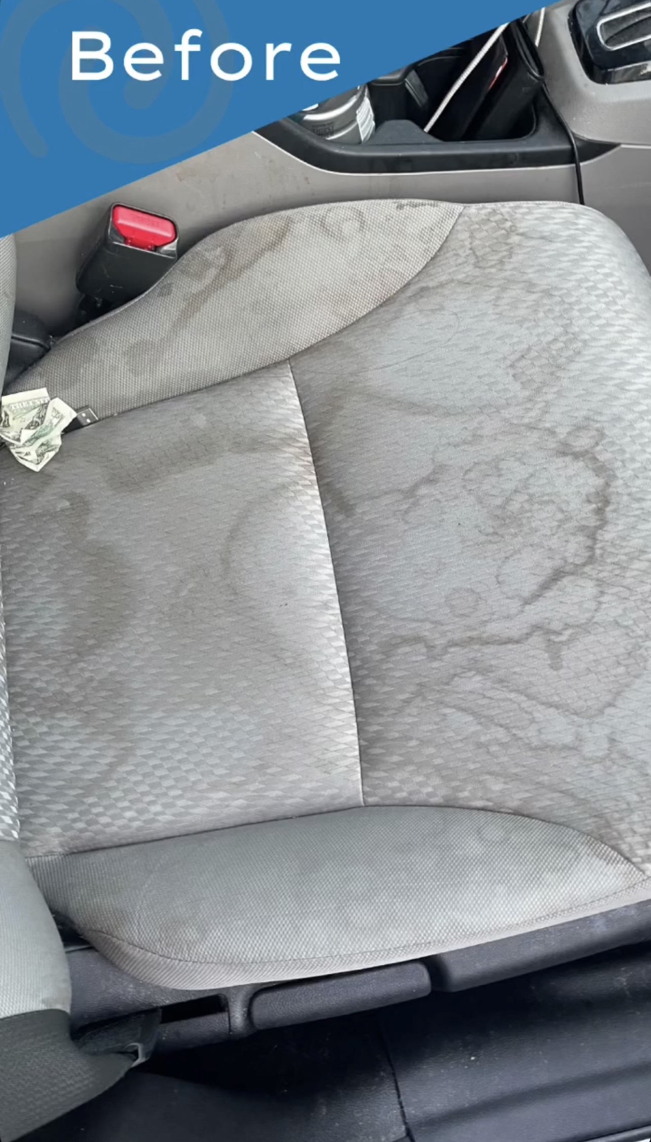 Before Mattress Cleaning