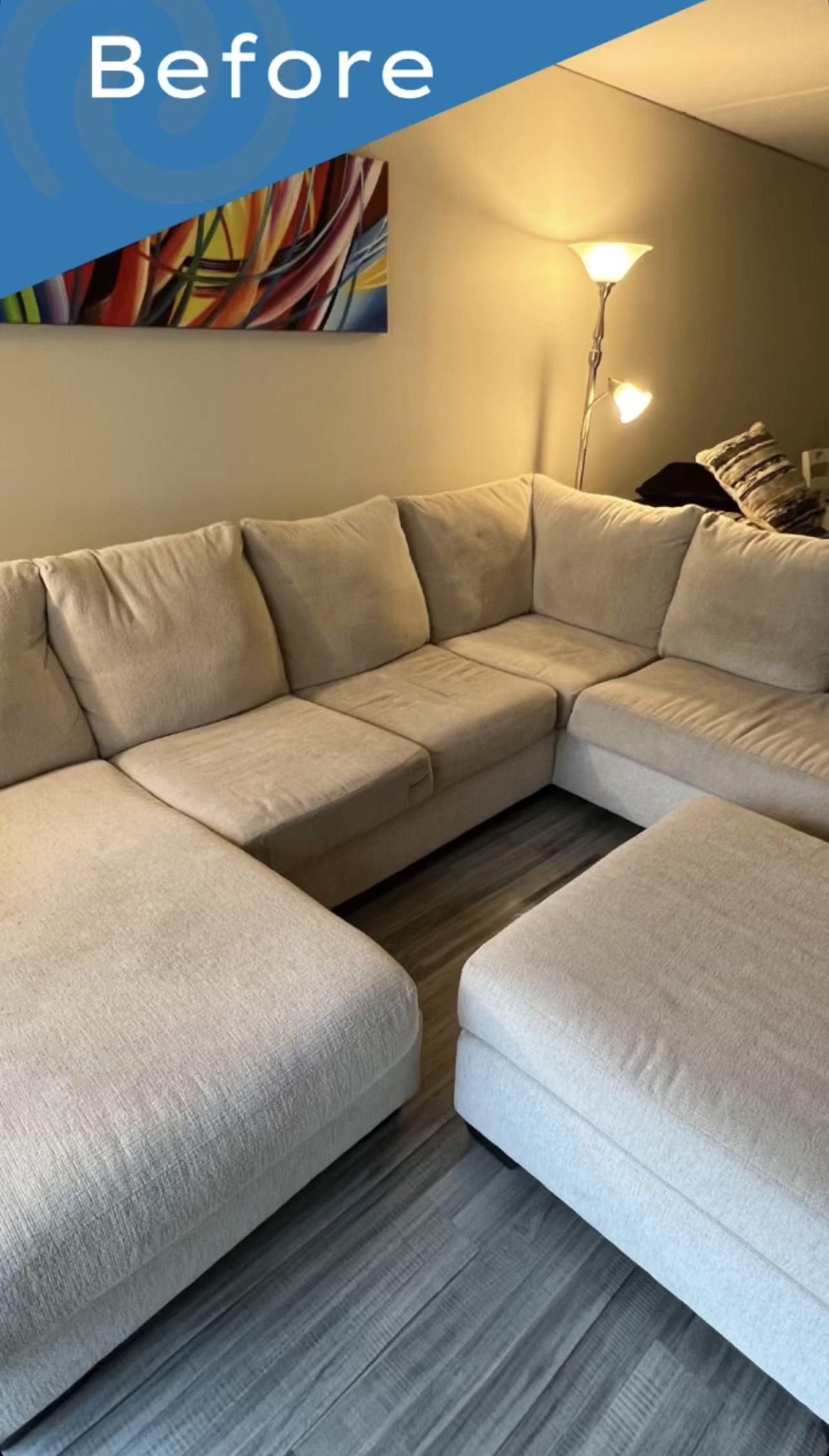 Before Couch Cleaning